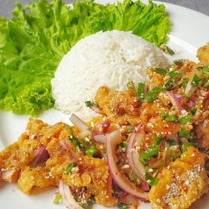 Khao Yam Gai Thod